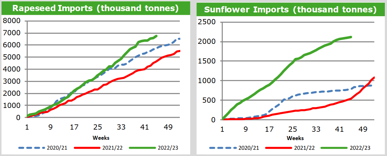 Экспорт пшеницы 2023