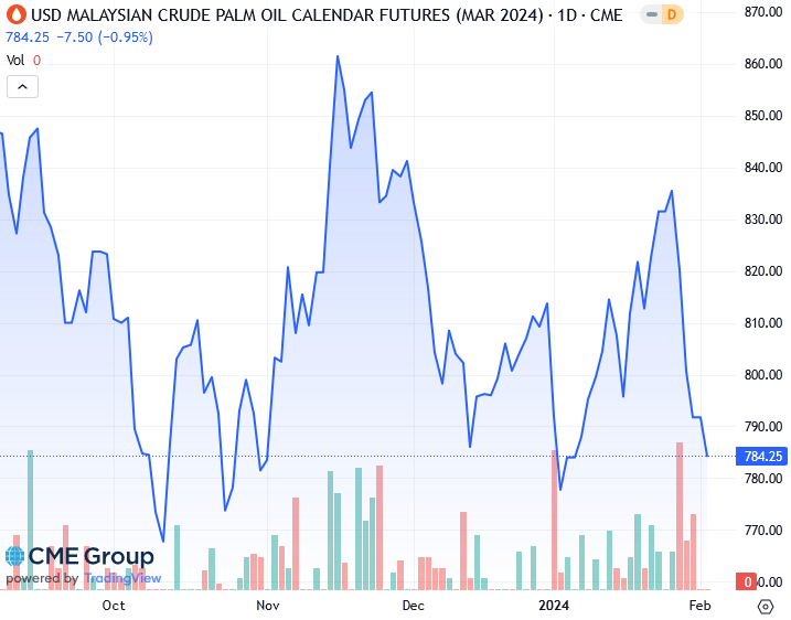 вероника озанова лицо. к сой взгляд. девушка с черными глазами. лицо девушки. красивые лица девушек.